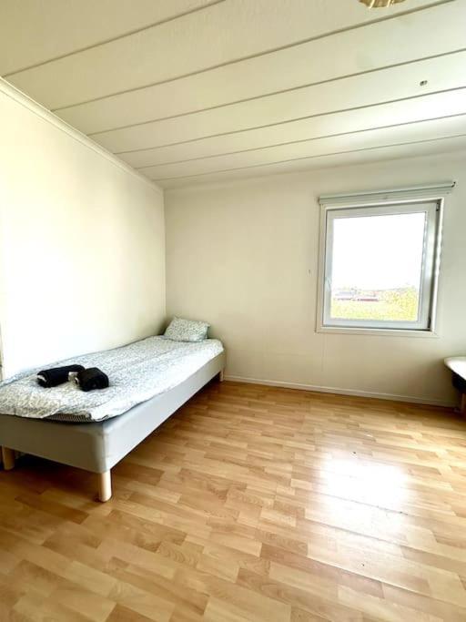 Workers 10-rooms Near Volvo *