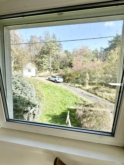 Workers 10-rooms Near Volvo